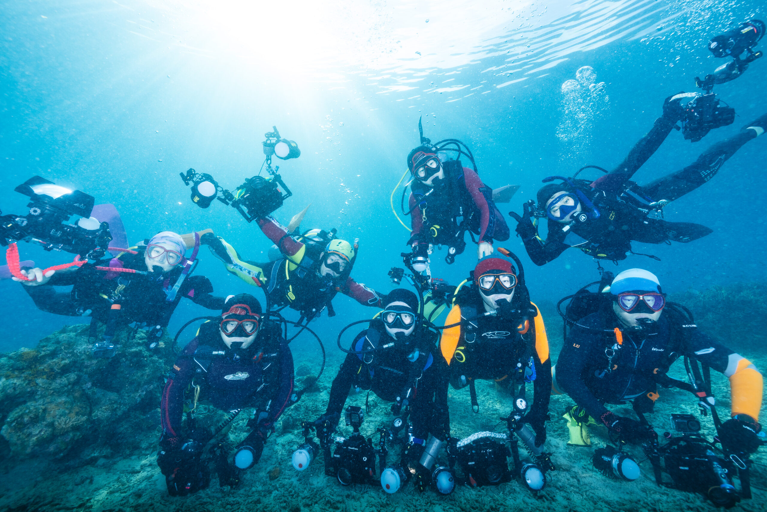 なんでも見れるぞイリオモテPart2