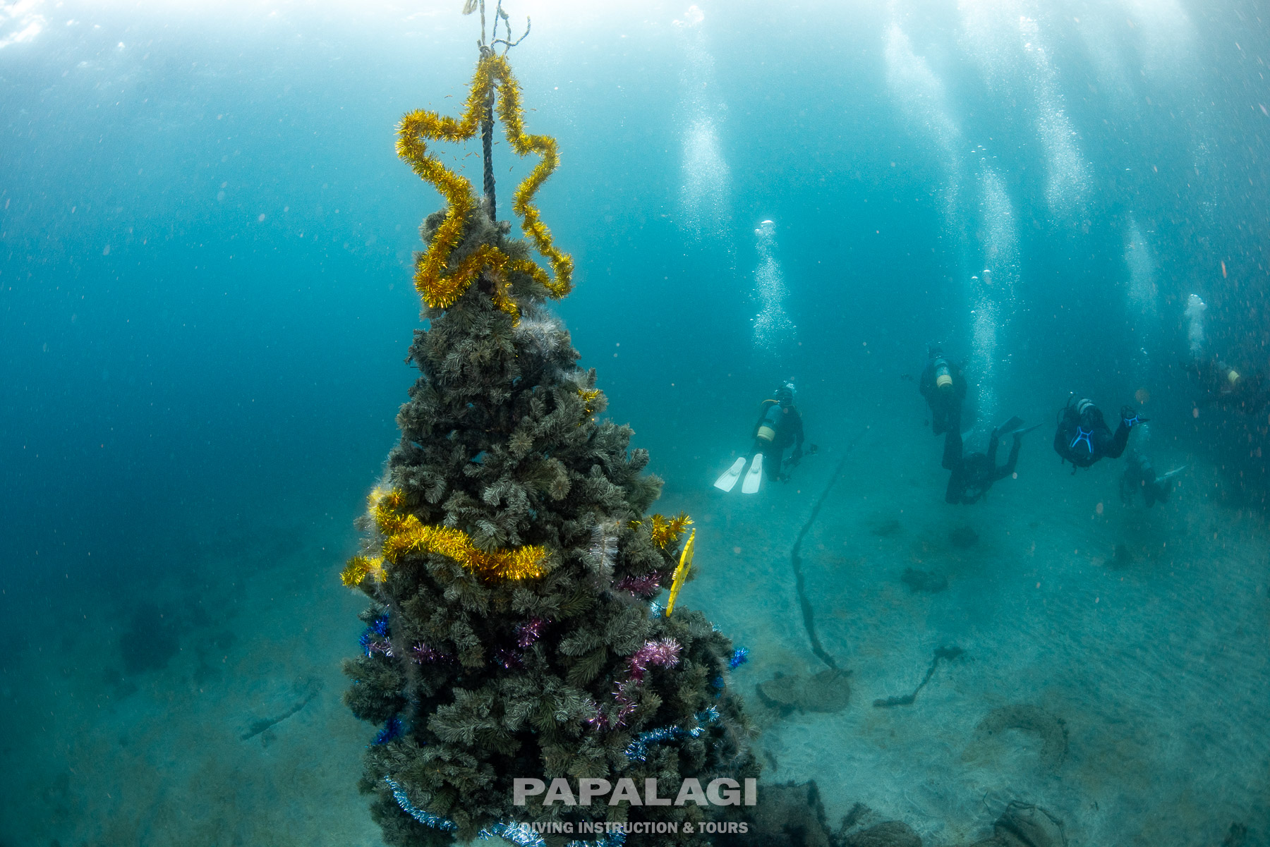 クリスマスツアーその1