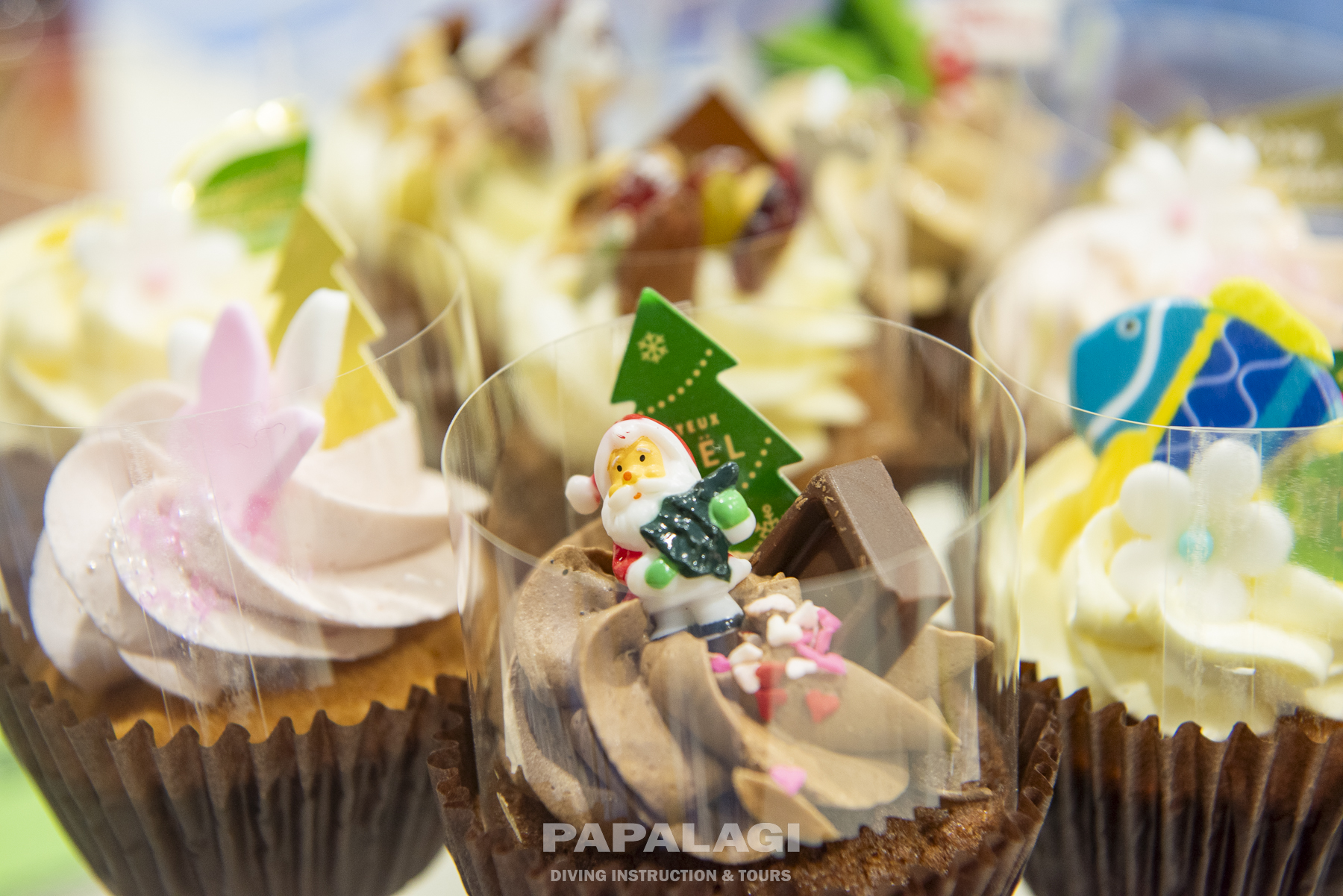 クリスマスツアーその2